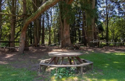 Burgess Park Cabin | Eco Lodge Near New Plymouth for Groups