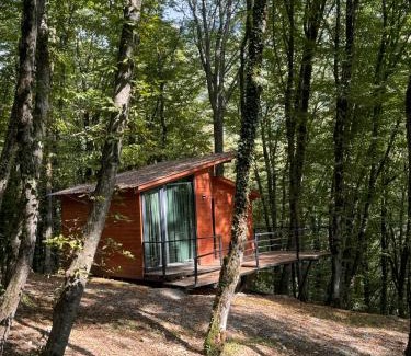 Lagodekhi Cabin | Eco Village In The Forest