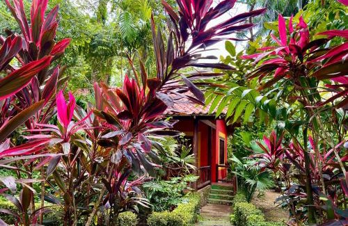 Portalon Bed & Breakfast | Eco Zaru, Experience Authentic Costa Rican Jungle & Ocean Bliss