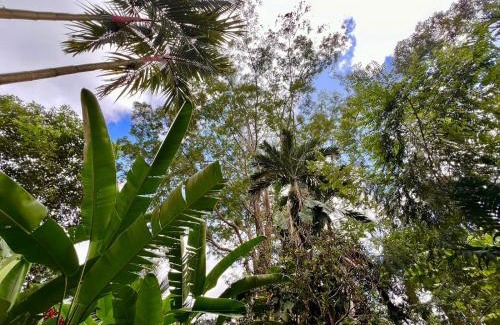 Portalon Bed & Breakfast | Eco Zaru, Experience Authentic Costa Rican Jungle & Ocean Bliss