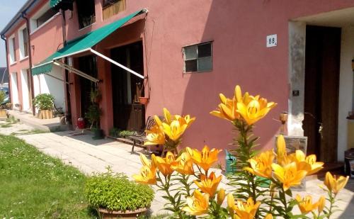 Zelarino Other | Ecogarden camping with rooms