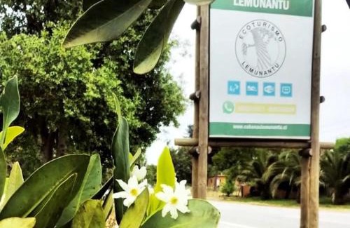 Constitucion Hotel | Ecoturismo Lemunantu Spa