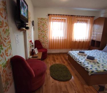 Miercurea-Ciuc Apartment | Eden Apartman