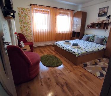 Miercurea-Ciuc Apartment | Eden Apartman