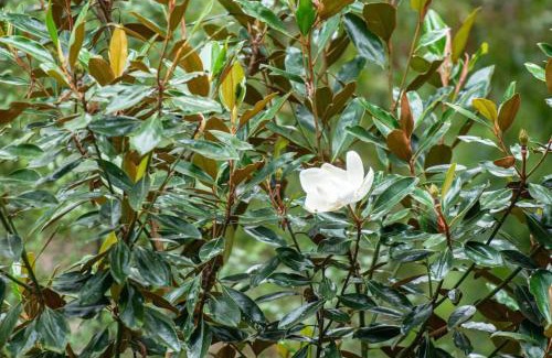 Aldgate House | Eden Gardens in Scenic Aldgate