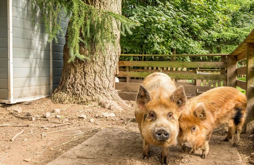 Bardsea Cottage | Eden Lodge