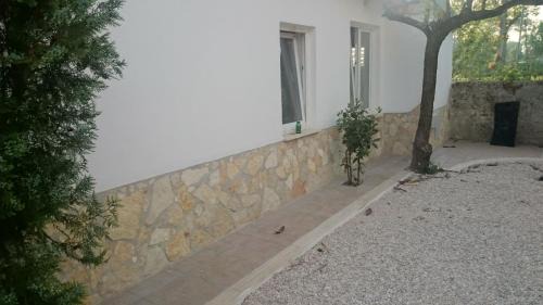 Colonia Elena House | Edvige'S House