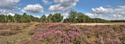 Garderen Apartment | Een OASE op de Veluwe