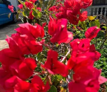 Ella House | Eeshani Guest Inn