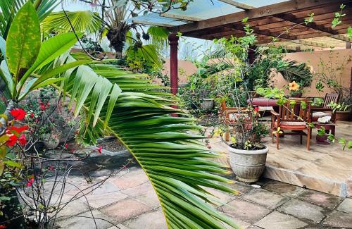 Zig Zag Ward Apartment | Effie Mountain View coco villa