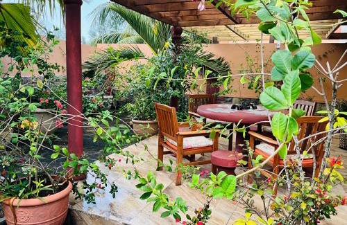 Zig Zag Ward Apartment | Effie Mountain View coco villa