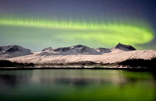 Ballangen House | Efjord and Stetind Resort - Cabin Kulhorn