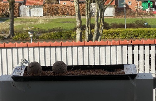 Tornbjerg House | Ego Etværelses i Stille Naturområde med alt tæt på