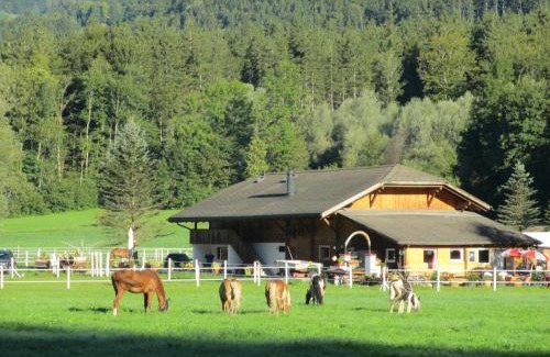 Brienzwiler House | Eichhof Brienzwiler Berner Oberland