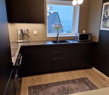 Asane Apartment | Eidsvåg