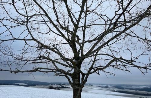 Wershofen House | Eifel-Bau-Traum Schlich
