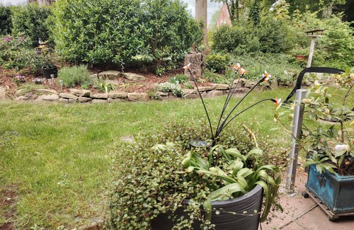 Wolthusen Apartment | Eiklenborg - Holiday apartment Moi Tied - Holiday apartment Moi Tied