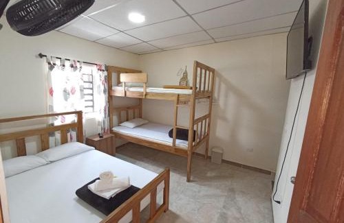 Armenia House | Ekolores Hostal - PARQUE DEL CAFÉ - 313-468-08-41