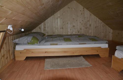 Ambroz pod Krvavcem House | EkoTurizem Viženčar