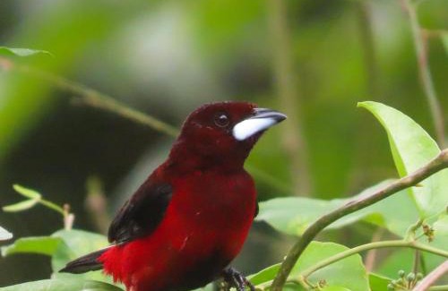 Granada Resort | El Cielo Biohospedaje - Refugio Sostenible en la Naturaleza