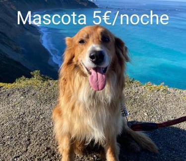 San Pedro de la Ribera Apartment | El Desván del Chisco