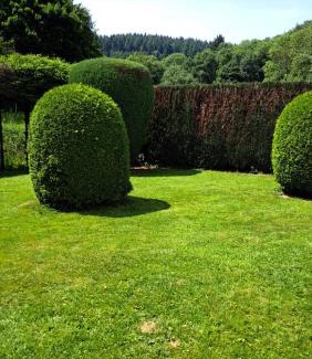 Kempenich Apartment | EL MIRADOR - Ferienwohnung Nähe Nürburgring - Eifel - Ahr - Rhein - RENOVIERT