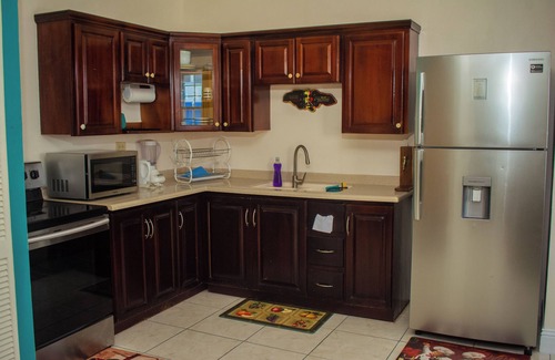 New Kingston House | El Paraíso @ The Westbury Cozy 2BR Apt in New Kingston