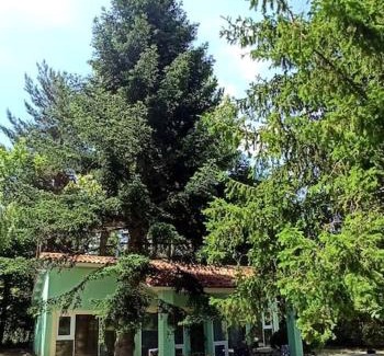 Estacion de El Espinar House | El Pinsapo