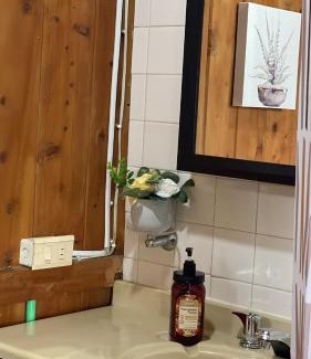 Subachoque Ski Chalet | El Refugio del Pino Cabaña en Subachoque