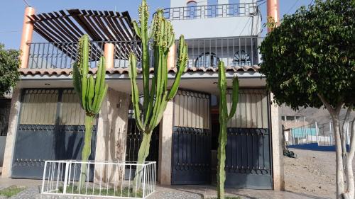 Nazca House | El titanic