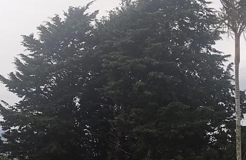 Concepcion Apartment | El Tranquilo Lodge La Ardilla