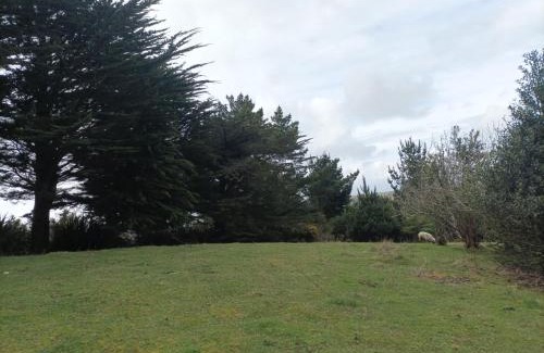 Ancud Apartment | El Urco Chiloé - Cabaña El Caleuche