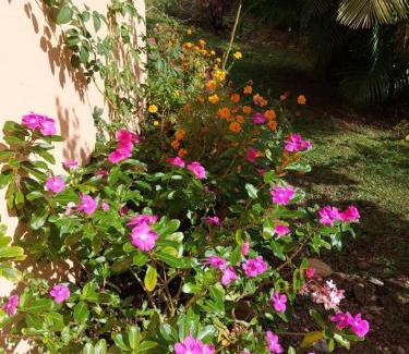 El Valle de Anton House | El Zumbito