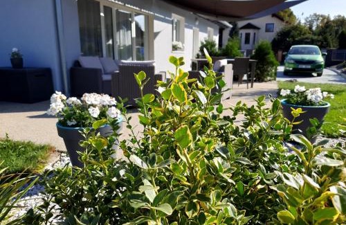 Skalna House | Ela Apartment Vilová