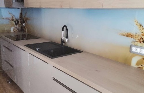 Dovje Apartment | Ela Apartments - 1, Dovje - Kranjska Gora