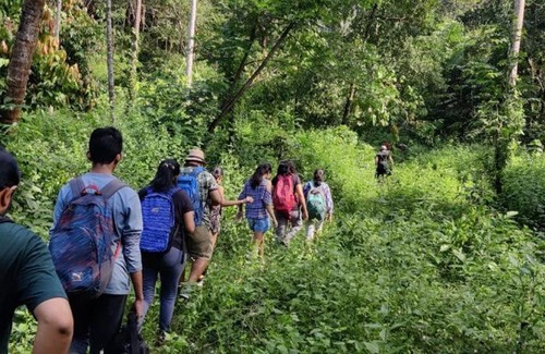 Todupulai House | Ela forest Stay Tree House