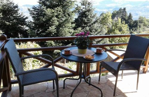 Mesaia Trikala Apartment | Elatos cozy Studio