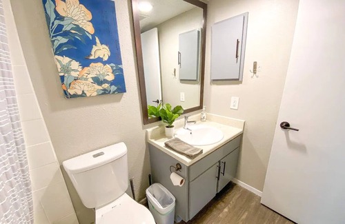 East Riverside - Oltorf Apartment | Elegant 1BR Pet-Friendly