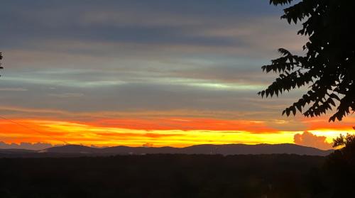 Nelson House | Elegant 3BR 2BA Retreat Near Ball Ground & Venues