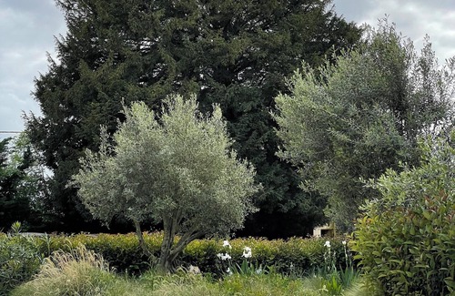 Gemozac House | Elegant, charming residence with landscaped garden
