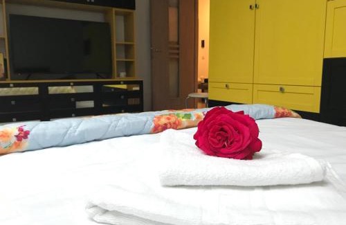 Piatra Neamt Apartment | Eli’s Apartament