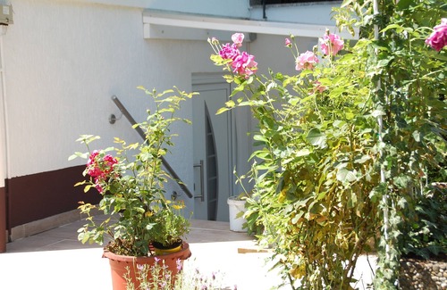 Bad Nauheim Apartment | ELISA Apartment (2 rooms, 50 m²)