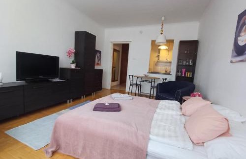 Erzsebetfalva Apartment | Elisabeth7 Apartment
