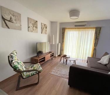 Timisoara Apartment | EliteVista by Cristian