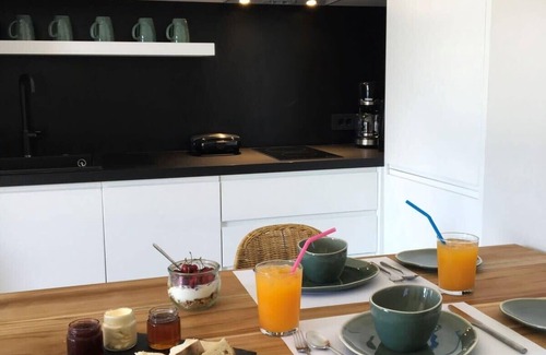 Aktio-Vonitsa Apartment | Elsa Modern Apartment One bed with private outdoor seating. Ground level Apt1