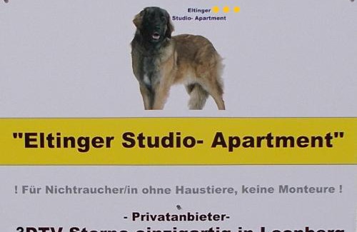 Leonberg Apartment | Eltinger Studio Apartment