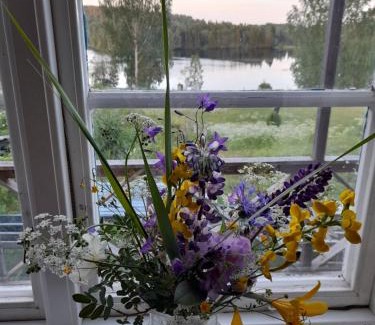Sunnansjo Villa | Embracing nature's Swedish house