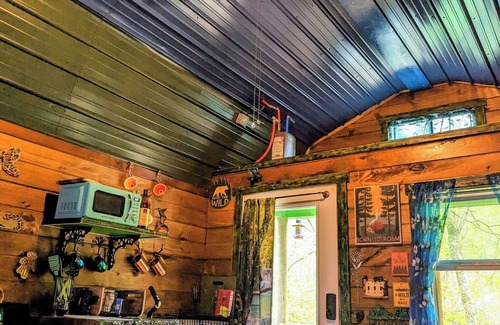 Pittsburg Cabin | Emerald Forest ~ Magical forest themed cabin in Daniel Boone Forest along river!