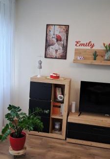 Salgotarjan Apartment | Emily Apartman Salgótarján