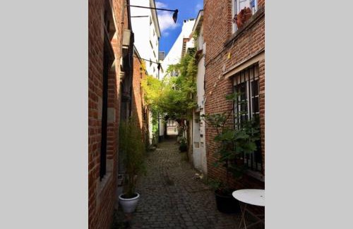 Dansaert Apartment | En plein cœur de Bruxelles. Superbe duplex.A voir!